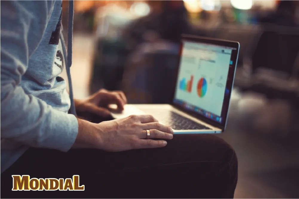 Hiệu ứng sở hữu